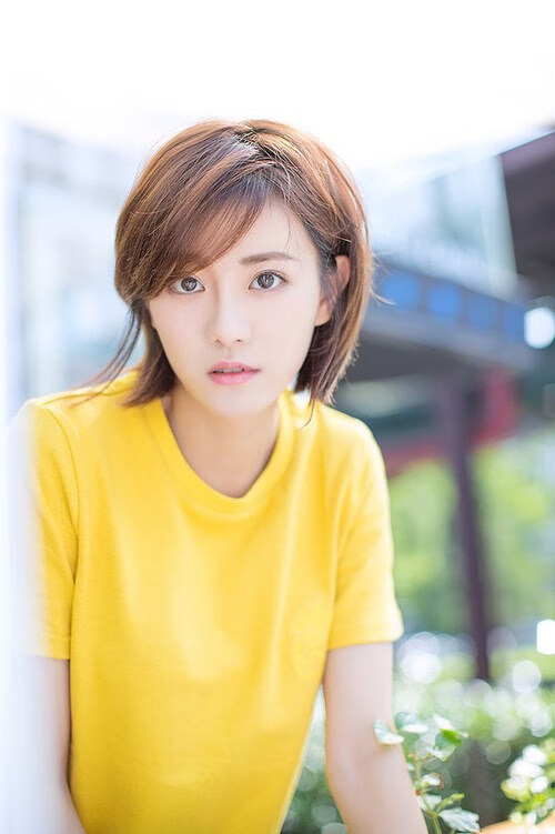 克罗地亚马术协会与国际组织合作，推广“Sinjska Alka”至全球。，克罗地亚足球协会