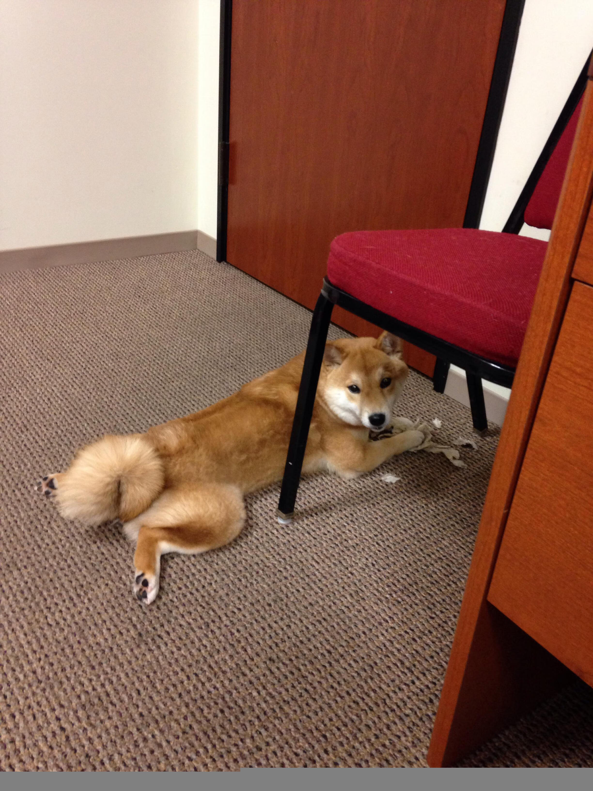 史诗级大战:欧冠冠军悬念逐渐揭晓,欧冠比赛冠军