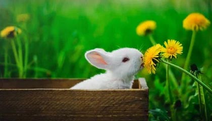 九游9游-【科技助赛】VR技术如何改变棒球观赛体验，vr 棒球