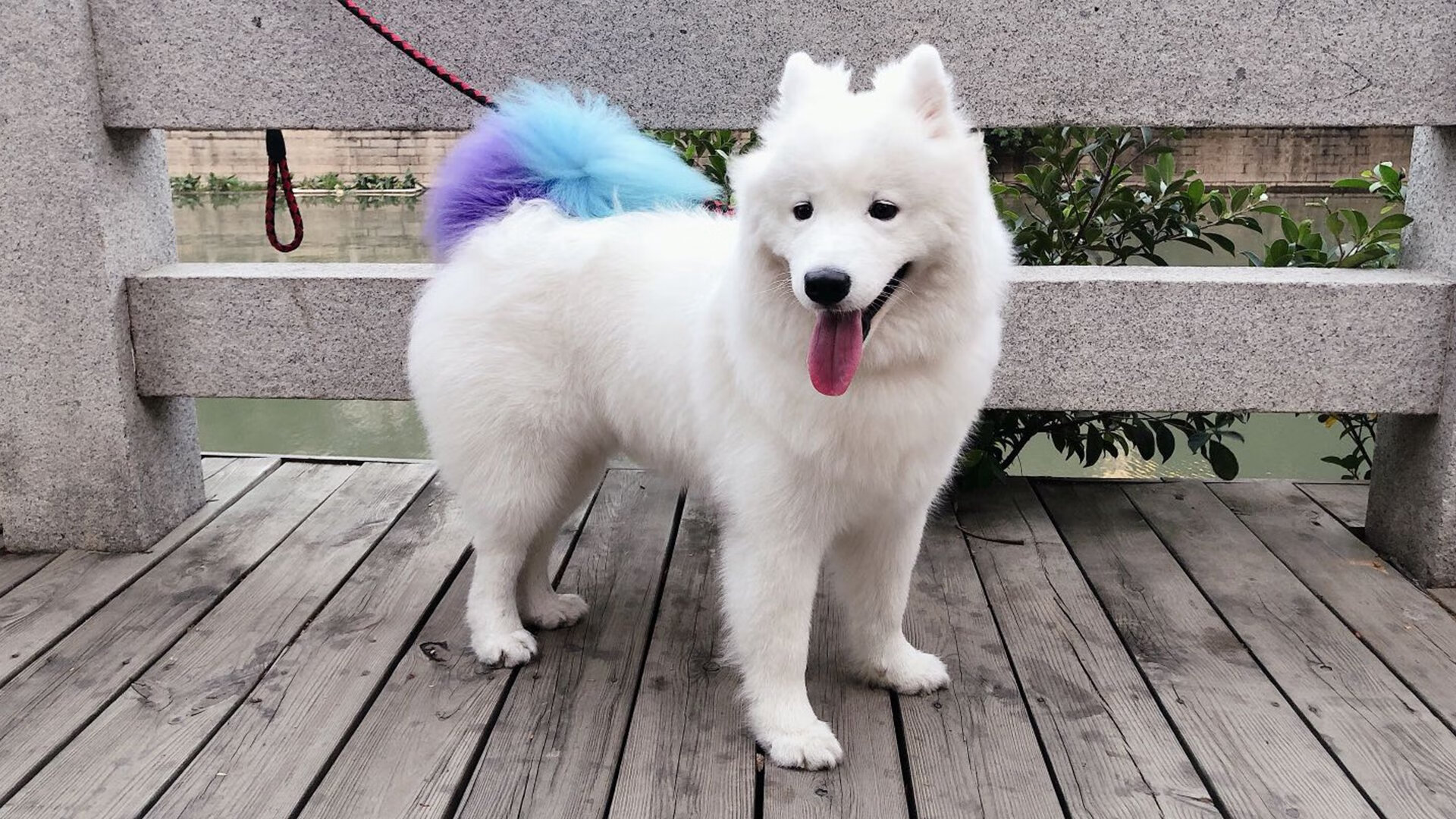 “青春动感”青少年篮球舞蹈比赛在江苏盛大举行，篮球舞蹈表演